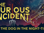 Curious Incident of the Dog in the Night-Time (Feb-Mar, 2026)