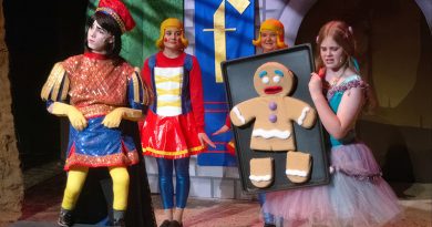 Shrek the Musical JR.
