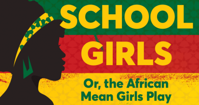 School Girls; Or the African Mean Girls