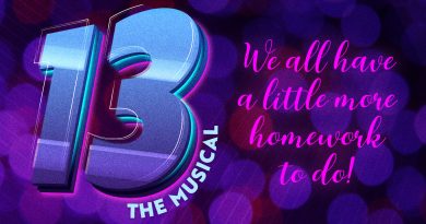 13 the Musical