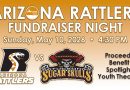 Take in a game and support SYT!